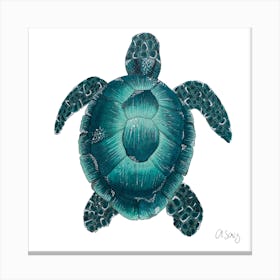 Blue Turtle. 1 Canvas Print