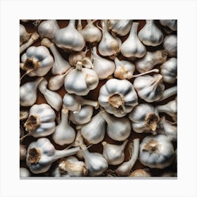 Frame Created From Garlic On Edges And Nothing In Middle Haze Ultra Detailed Film Photography Li (5) Canvas Print