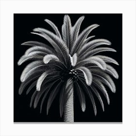 Black And White Palm Tree Canvas Print