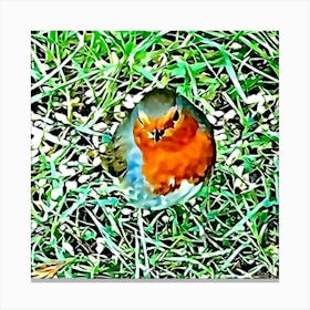 Robin In The Grass Canvas Print