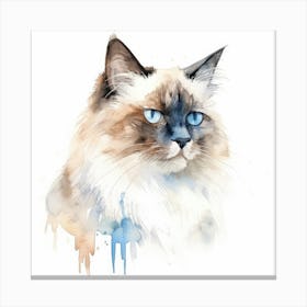 Birman Cat Portrait 3 Canvas Print