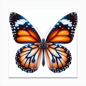 Butterfly of Danaus plexippus Canvas Print