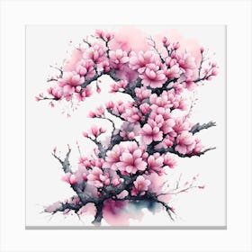 Cherry Blossoms Canvas Print