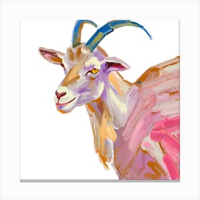 Goat 10 1 Canvas Print