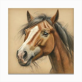 Horse Portrait 3 Canvas Print