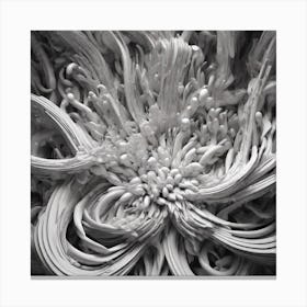 Black And White Flower Canvas Print