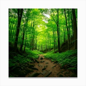 Firefly Emerald Green Forest Enhances Green Tones For Lush, Vibrant Foliage 2 Canvas Print