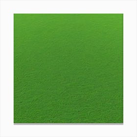 Green Grass 6 Canvas Print