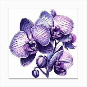 Orchid flower 1 Canvas Print