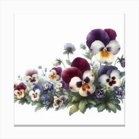 Flowers of Pansies 3 Canvas Print