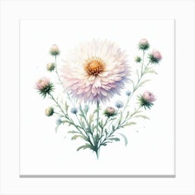 Flower of Aster Canvas Print