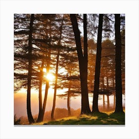 Sunrise In The Forest 38 Canvas Print