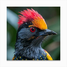 Red-Throated Woodpecker Canvas Print