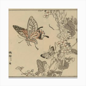 Butterfly And Flower 1 Canvas Print