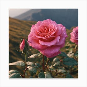 Roses In The Mountains Canvas Print