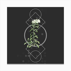 Vintage Small White Flowers Botanical with Geometric Line Motif and Dot Pattern n.0066 Canvas Print
