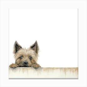 Yorkshire Terrier 11 Canvas Print