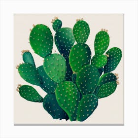 Cactus 24 Canvas Print