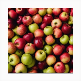 Red And Green Apples 5 Canvas Print