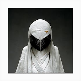 Ninja 2 Canvas Print