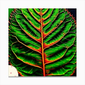 Elm leaf 1 Canvas Print