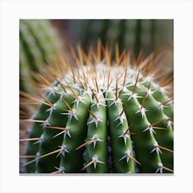 Cactus 1 Canvas Print