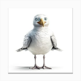 Seagull Canvas Print