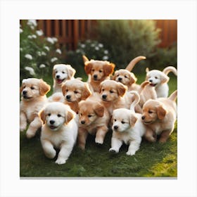 Golden Retriever Puppies Canvas Print