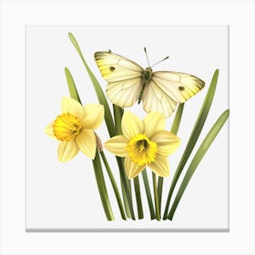 Daffodils And Butterfly Canvas Print