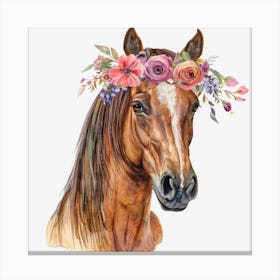 Horse With Flower Crown Canvas Print