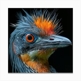 Kingfisher Canvas Print