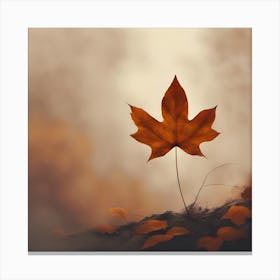  Autumn Single Leaf  Canvas Print