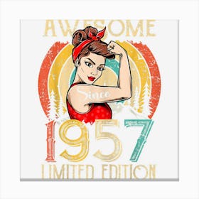 Vintage 65 Year Old Birthday Gifts For Women Canvas Print