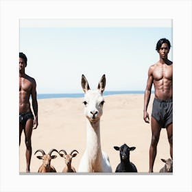 Four Men And Llamas Canvas Print