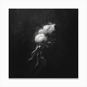 Onion Canvas Print