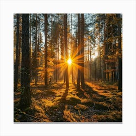 Stockcake Sunrise In Forest 1720412807 1 Canvas Print