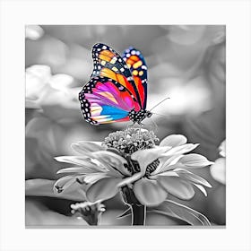 Butterfly On A Flower 1 Canvas Print