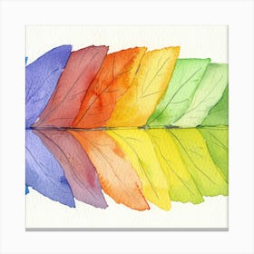 Rainbow Feathers Canvas Print