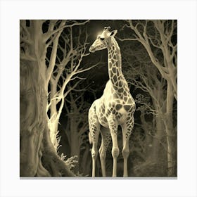 Night Guardian 1 Canvas Print