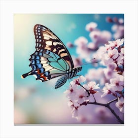 Butterfly On Cherry Blossoms 3 Canvas Print