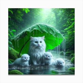 White Cats In The Rain Canvas Print