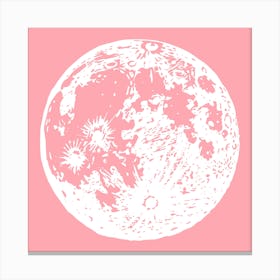 Pink Moon 1 Canvas Print
