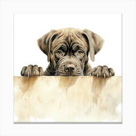 Dog Peeking Over A Wall 2 Canvas Print