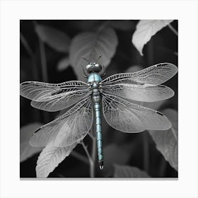 Dragonfly 10 Canvas Print