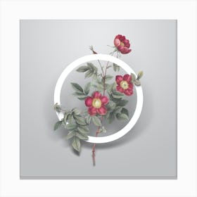 Vintage Alpine Rose Minimalist Floral Geometric Circle on Soft Gray n.0129 Canvas Print