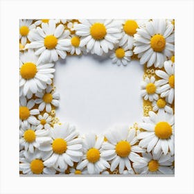 Frame Of Daisies 2 Canvas Print