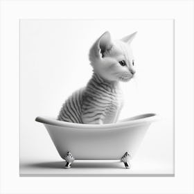 Kitten In A Bathtub Canvas Print