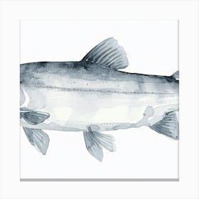 Salmon Canvas Print