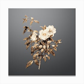 Gold Botanical White Rose of Snow on Soft Gray n.4200 Canvas Print