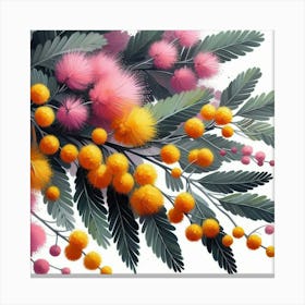 A branch of blooming mimosa 3 Canvas Print